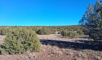 5 N8715, Concho, AZ 85924