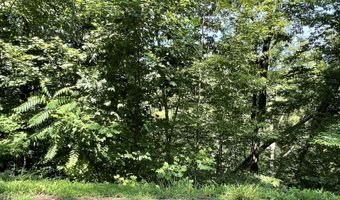 Stoneway Court lot 926, Baneberry, TN 37890