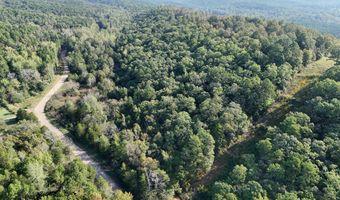 Long Branch Lane, Bee Branch, AR 72013