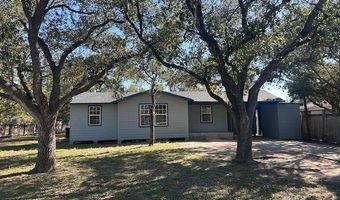 1106 3rd St, Agua Dulce, TX 78330