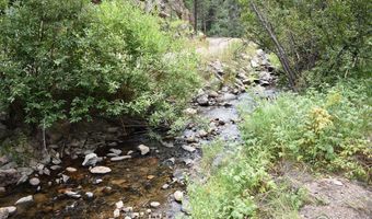 25653 Buckhorn Rd, Bellvue, CO 80512