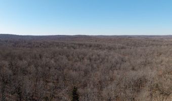 Tuska Drive, Ash Flat, AR 72513