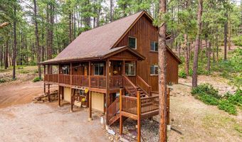 427 Pine Valley Rd, Bayfield, CO 81122
