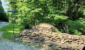 Pheasant Chase lot 3812 81 T, Ararat, VA 24053