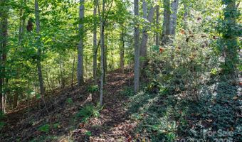 9 Sandon Cir, Asheville, NC 28804