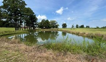 944 Salem Rd, Abbeville, GA 31001