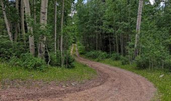 4556 Middle Mountain Rd, Bayfield, CO 81122