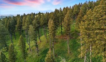 750 Black Bear Rd, Bozeman, MT 59718