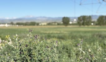 TBD W County Rd 4E, Berthoud, CO 80513