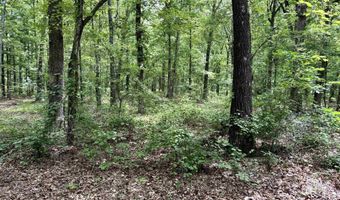 171 Vegas Ln, Beebe, AR 72012