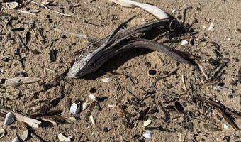 1 Wreck Rd, Alpena, MI 49707