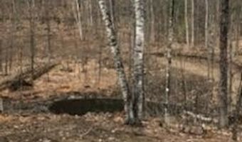 Lot39 Tripptown Road, Hiram, ME 04041
