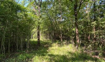 796 Blue Branch Rd, Bennington, OK 74723