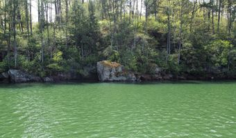 LOT 59 SIPSEY OVERLOOK, Double Springs, AL 35553