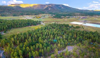 7 Eric Ln, Alpine, AZ 85920