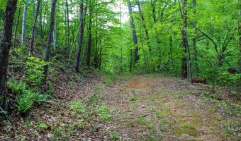 340 Big Mama Ln, Bassett, VA 24602