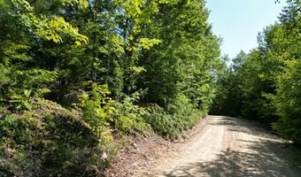 Lot 39 Southwest Brook Lane, Beddington, ME 04622