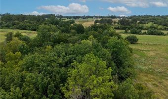 FM 2819, Anderson, TX 77830
