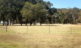 5047 N FM 17, Alba, TX 75410