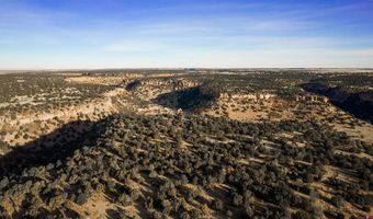 000 County Road 40.2 Poitry Canyon Ranch, Branson, CO 81027