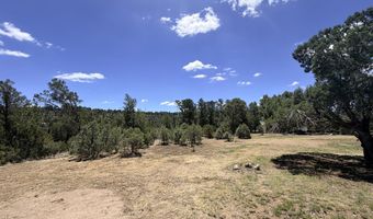 230 Sierra Blanca Airport Rd Lot 4A, Alto, NM 88312