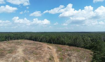 SE Cole Drive, Bogue Chitto, MS 39629