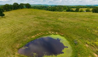 County Road Y-521, Ava, MO 65608