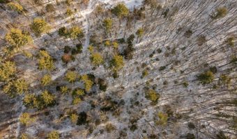 Lot 56-3 Chester Road, Auburn, NH 03032