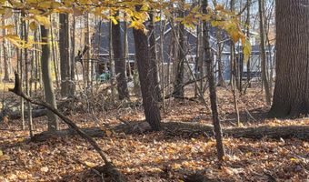 1694 Westview Dr 17, Allegan, MI 49010