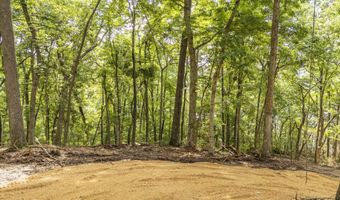 NELLS KNOB Cv, Bath Springs, TN 38311