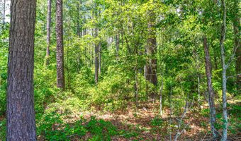 1 Mcalhany Rd, Branchville, SC 29432