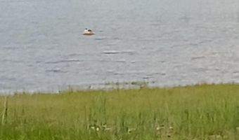 3135 S Partridge Point Rd, Alpena, MI 49707