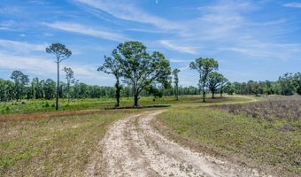 Chad Lake Rd, Alma, GA 31510