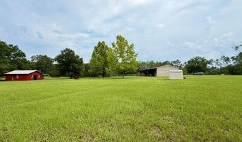 4689 NW 26th St, Bell, FL 32619