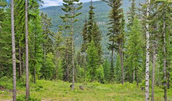 14051 Big Rock Way, Bigfork, MT 59911