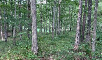 LOT 1 WINDING CREEK LANE Ln, Arley, AL 35541