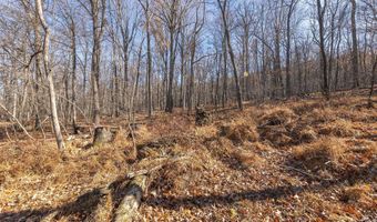 1060 BUFFALO RIDGE Rd, Augusta, WV 26704