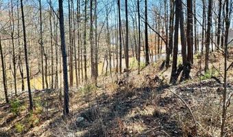 0 Waterside Pt Lot 22, Abbeville, SC 29620