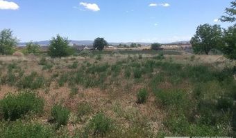 1075 Browne Ln, Fernley, NV 89408