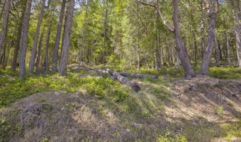 2799 Quines Creek Rd, Azalea, OR 97410