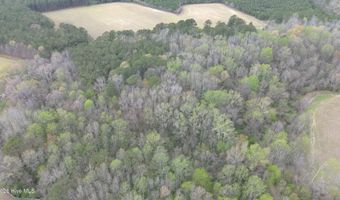 NE S Sr 1134, Ahoskie, NC 27910