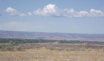 9331 1990 Ln, Austin, CO 81410