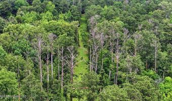 Vine Drive, Brandon, MS 39047