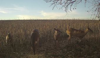 00000 CR 140, Alexander, KS 67513