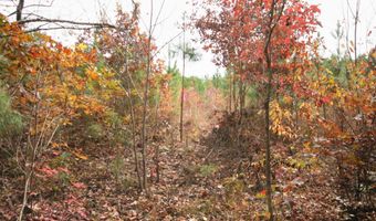 RIDGE RD lot 1, Arvonia, VA 23004