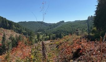 Van Horn 140 Rd, Alsea, OR 97324