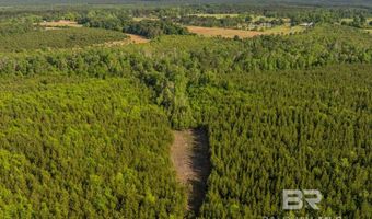 Flowers Road, Bay Minette, AL 36507