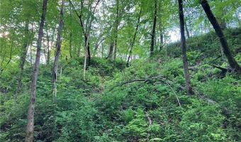 N3953-201 Bear Pen Road, Arkansaw, WI 54721