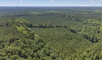 82 Acres Point Caswell Rd, Atkinson, NC 28421