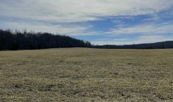 Tract 1 County Road 14-534, Ava, MO 65608